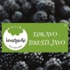 Gozdna robida Majini hrustljavčki