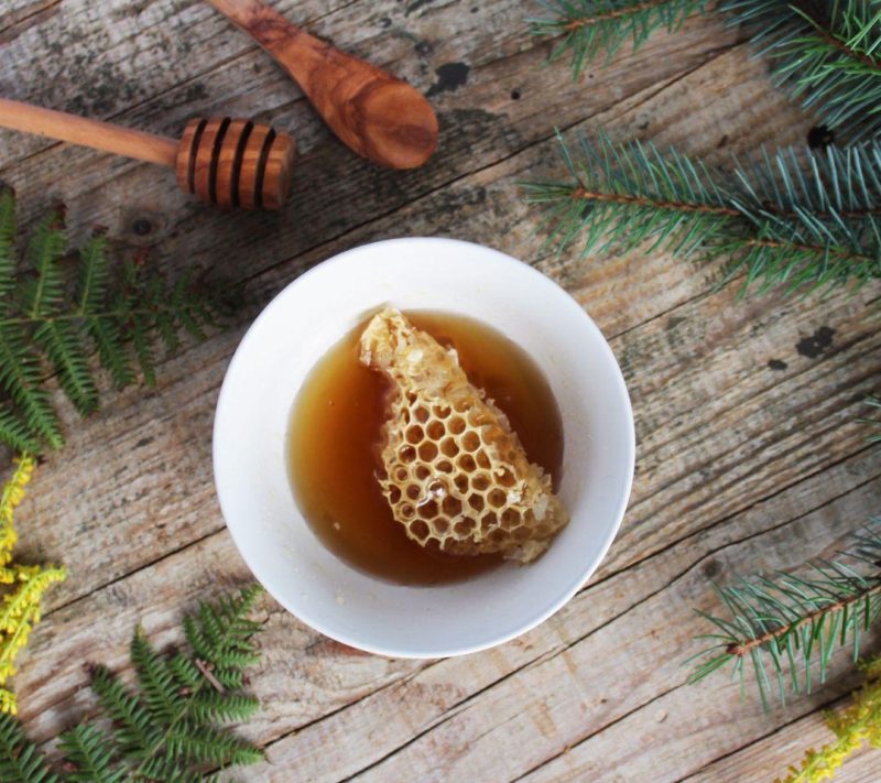 Gozdni med “Gozdni zaklad za radovedne” Mr. Bee