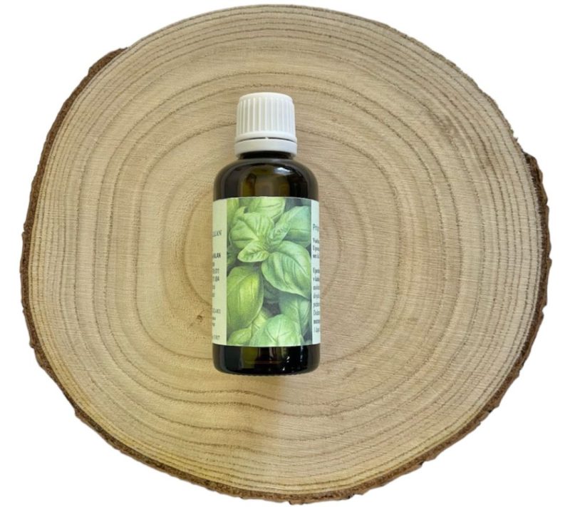 Bazilika - olje kmetija_Kalan Bazilika - olje kmetija Kalan