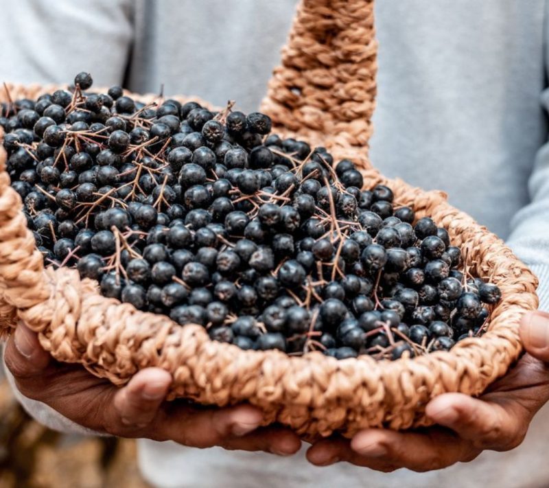 Domača marmelada aronija Kmetija Pavlovič, 212 ml 1 Domača marmelada aronija Kmetija Pavlovič, 212 ml