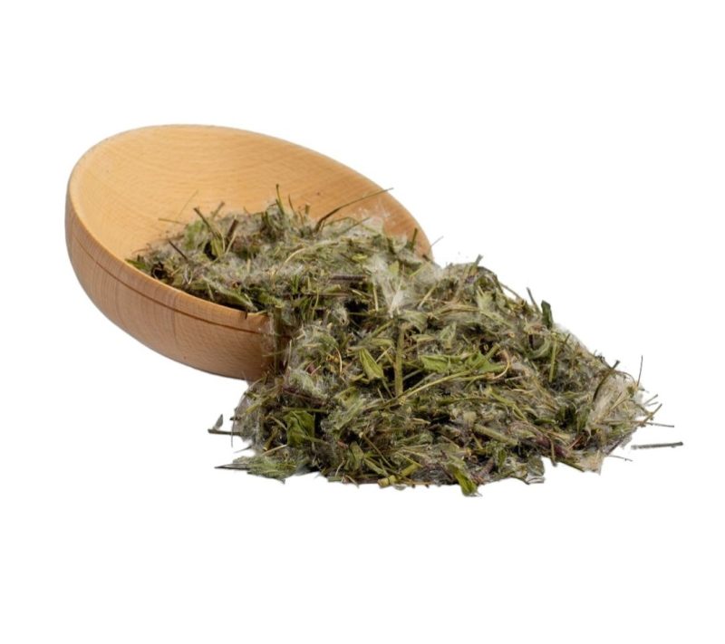 Drobnocvetni vrbovec, eko zelišče kmetija Kalan Drobnocvetni vrbovec, eko zelišče kmetija Kalan