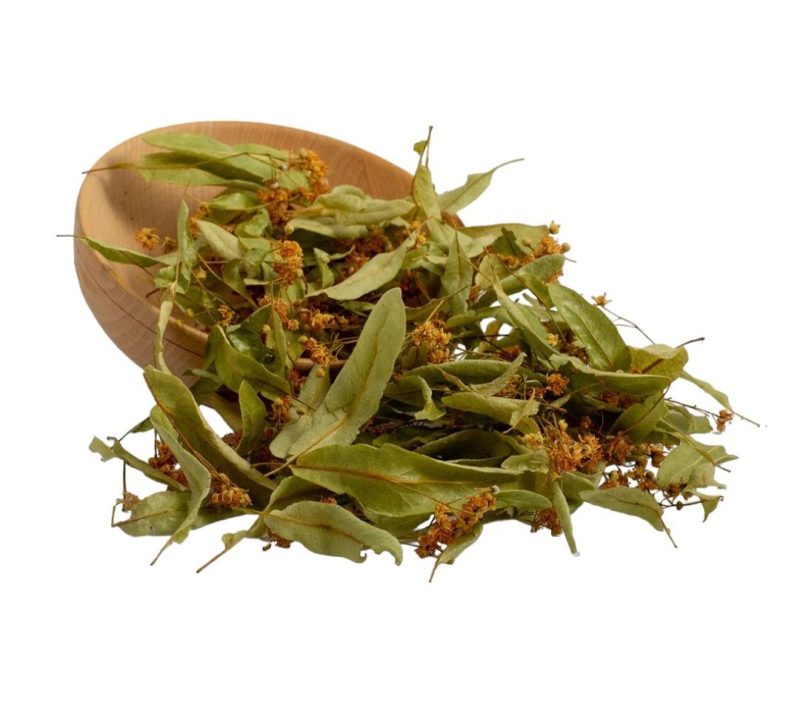 Lipa, eko zelišče kmetija Kalan