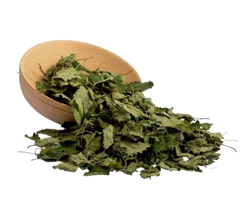 Melisa, eko zelišče kmetija Kalan Melisa, eko zelišče kmetija Kalan