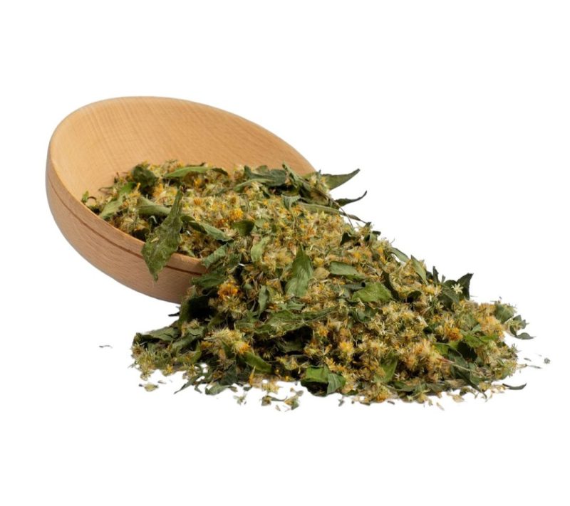 Navadna zlata rozga, eko zelišče kmetija Kalan