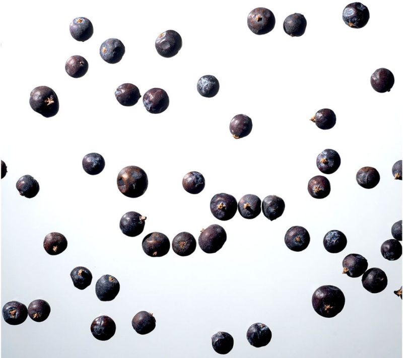 Bio brinove jagode Hiška zelišč, 40g