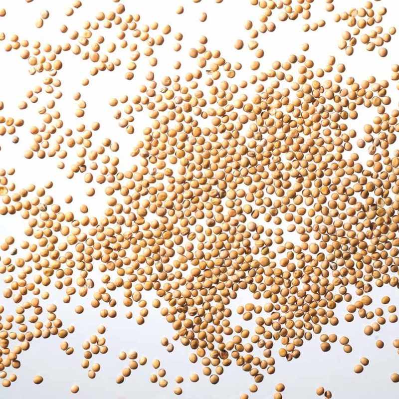 Bio gorčično seme Hiška zelišč, 50g