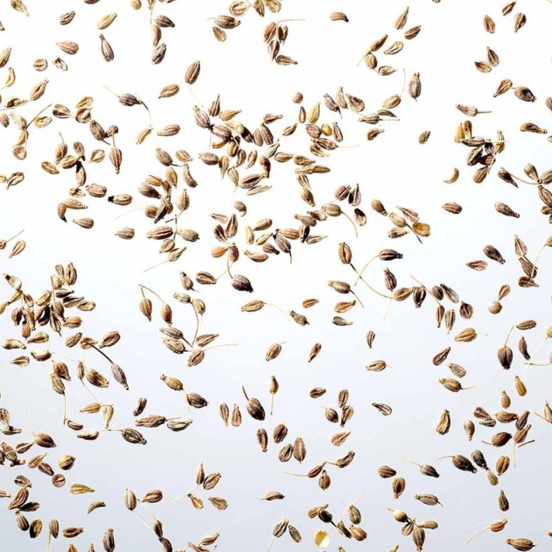 Bio janež Hiška zelišč, 40g