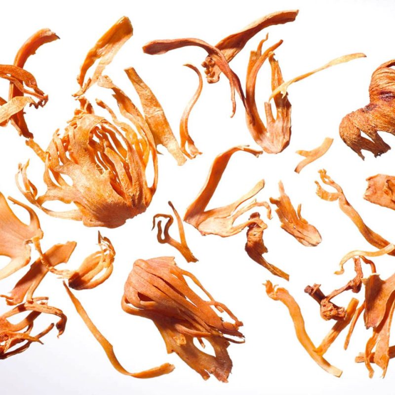 Bio muškatni cvet Hiška zelišč, 15g