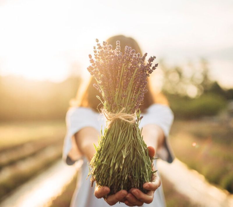 100% naravni sivkin hidrolat Kmetija Omerzu, 100ml