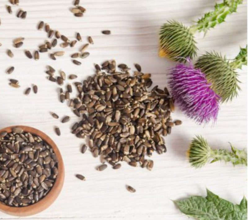 Bio Pegasti badelj semena Bonatura, 1000g