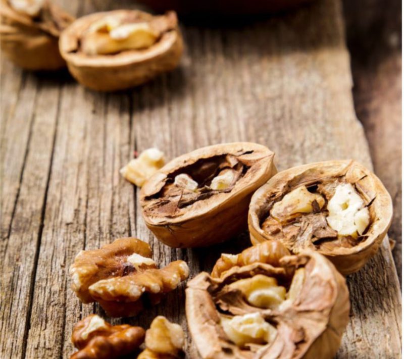 Bio orehovi proteini 45% beljakovine v prahu Bonatura 2 Bio orehovi proteini 45% beljakovine v prahu Bonatura