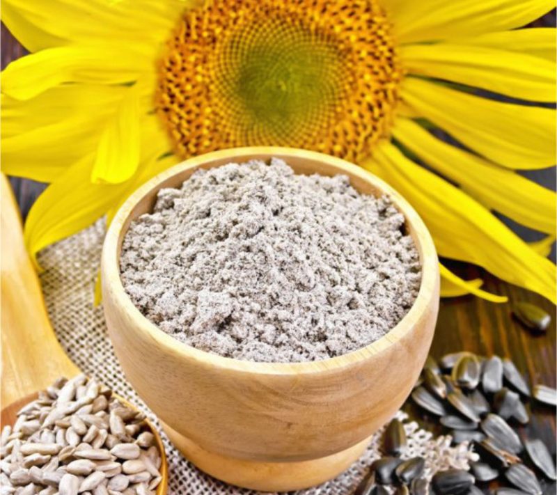 Bio sončnični proteini 50% beljakovine v prahu Bonatura