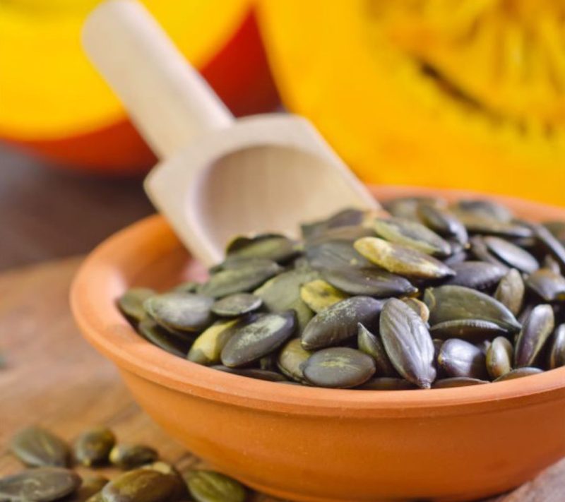 Bučni proteini 50% beljakovine v prahu Bonatura