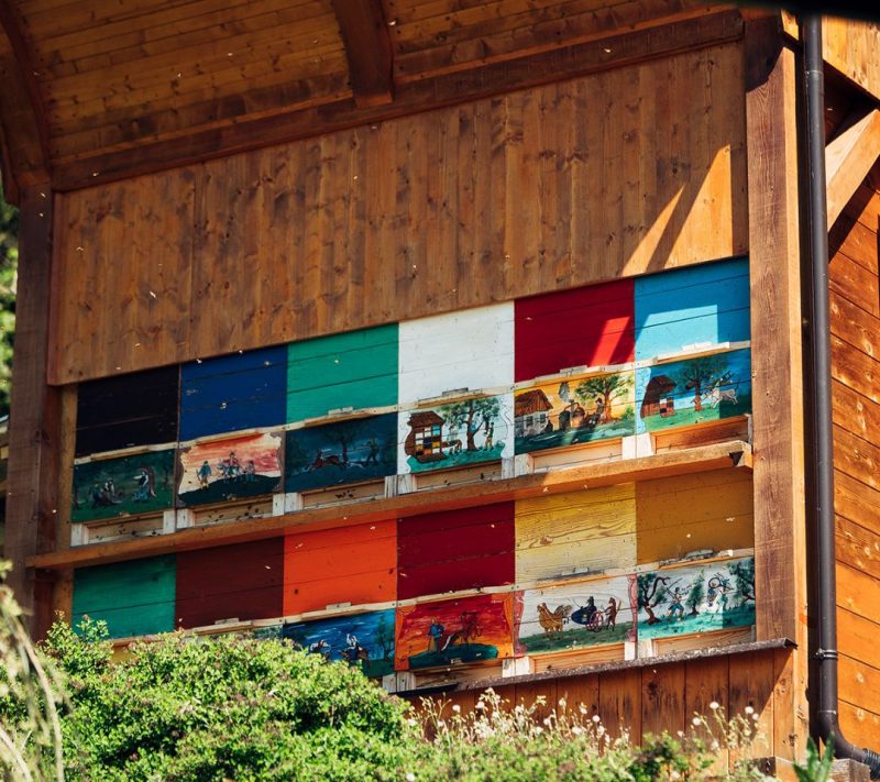 Cvetlični med Kmetija Omerzu