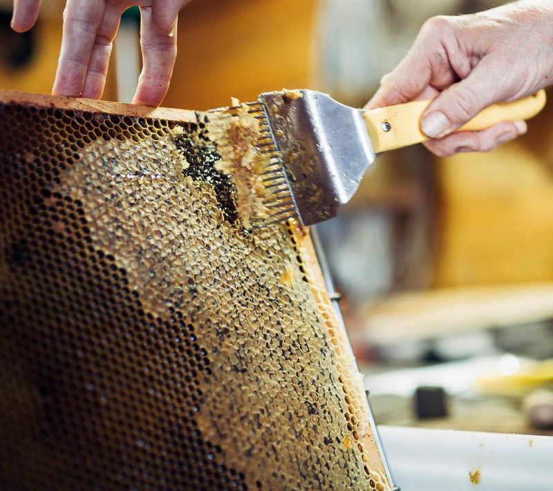 Cvetlični med Kmetija Omerzu